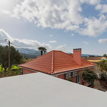 Apartment Tranquility By *