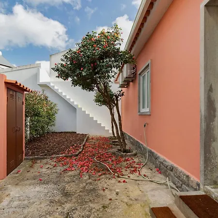 Tranquility By Apartment *